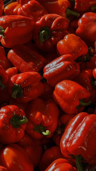 Hortifruti da Estação (kg)