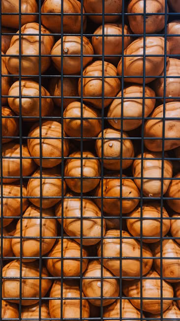 Legumes Frescos (kg)